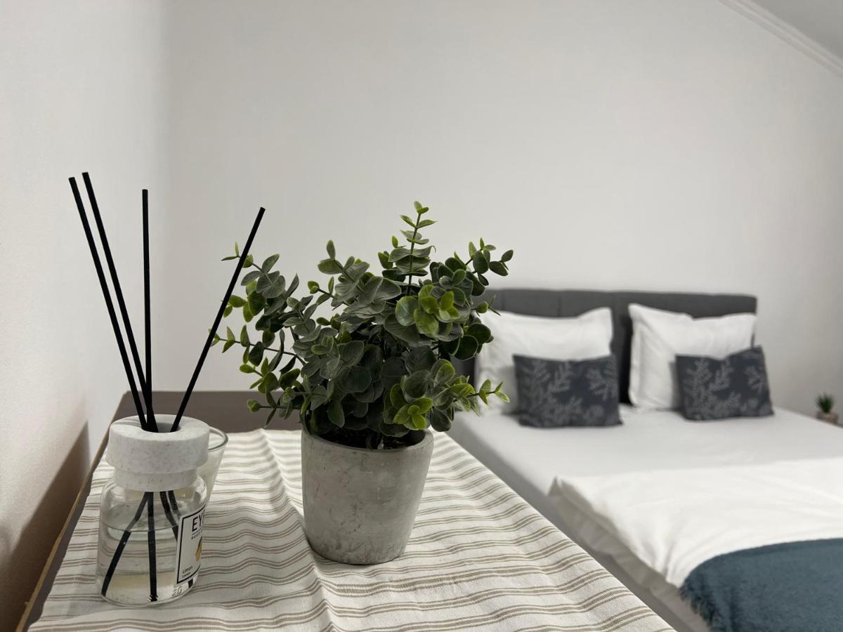 The N Apartment Cluj-Napoca Exterior photo